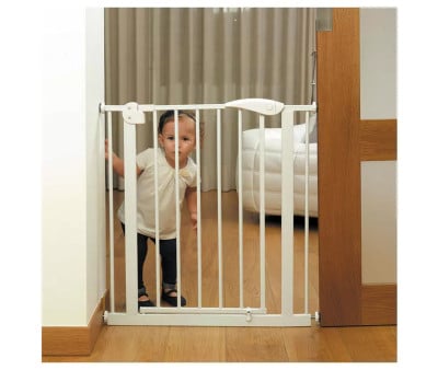 Puerta de Seguridad + Extensión Metálica