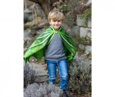 Kids Dragon Wings and Mask Legendary Dragon 4-6 Y