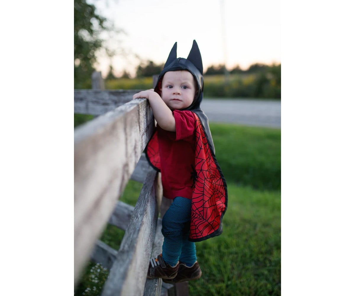 Reversible Bat-Spider Cape