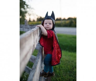 Reversible Bat-Spider Cape