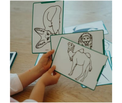 KidyDraw Modelos Mini de Animais, Oceanos e Piratas