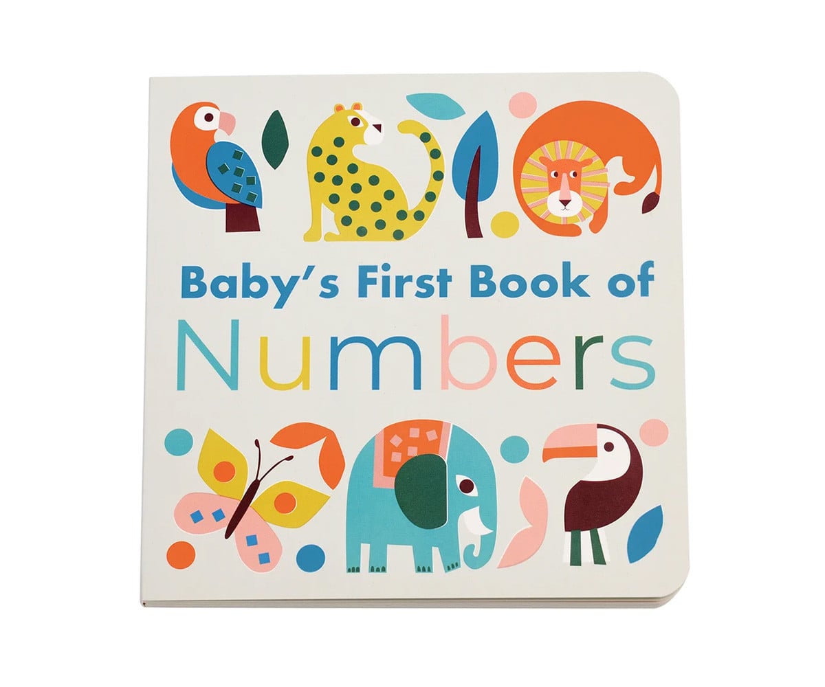 Il Primo Libro dei Numeri Wild Wonders