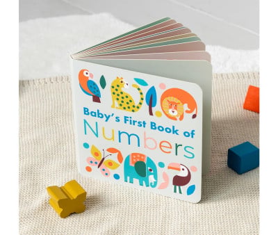 Il Primo Libro dei Numeri Wild Wonders