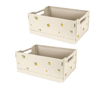 2 Cajas Plegables Lemon